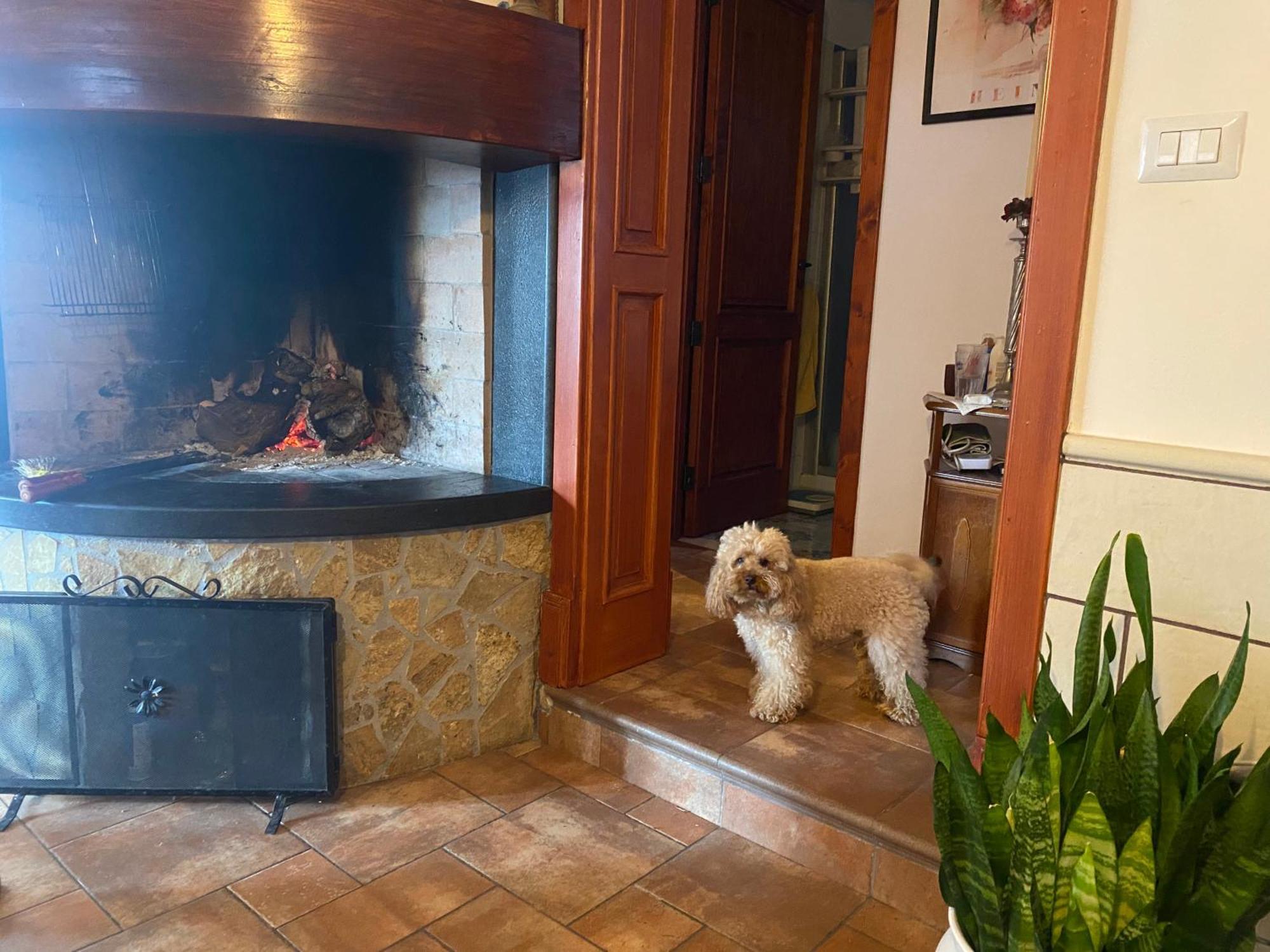 Masseria Tre Archi & Apulia Relais Gentiluomo Room photo
